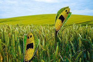 Vir: candobetter.net